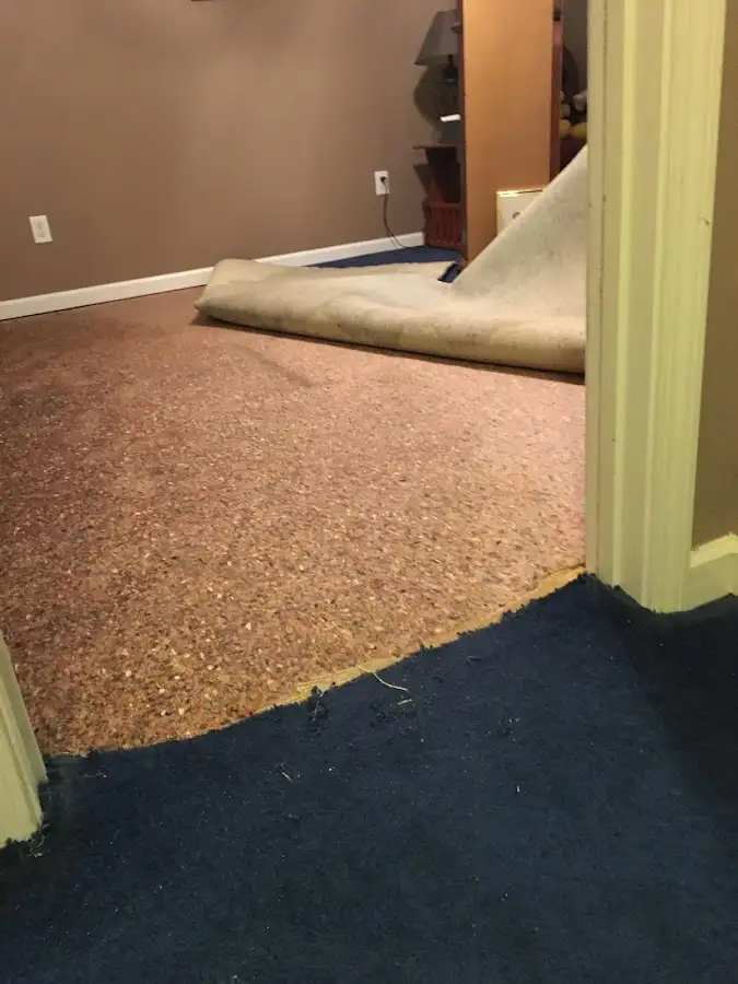 Carpet pad removal revealing water damage during Drying & Dehumidification in Lehigh Acres