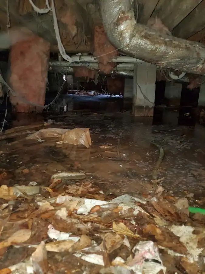 Crawl space flood assessment for Leak Detection & Repair in Lehigh Acres